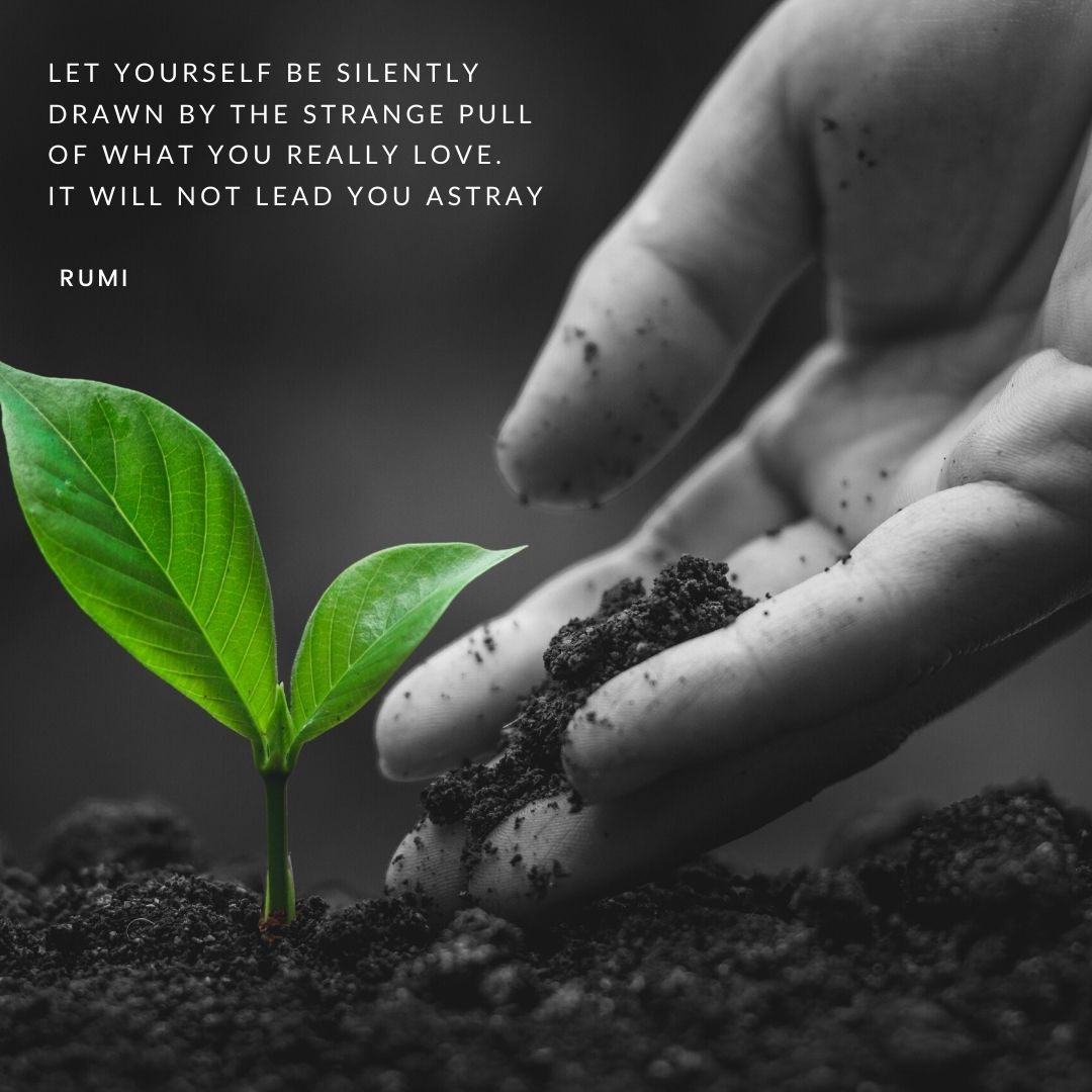 Let yourself be silently drawn by the strange pull of what you really love. It will not lead you Astray- Rumi
